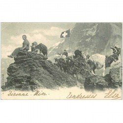Suisse. Troupeau de biquettes et bouc à la Frontière Franco-Suisse vers 1900
