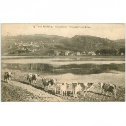 Suisse. LES BRENETS. Troupeau de Vaches Frontière Franco-Suisse (timbre manquant)...