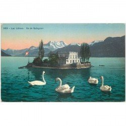 Suisse. LAC LEMAN. Ile de Salagnon et Cygnes