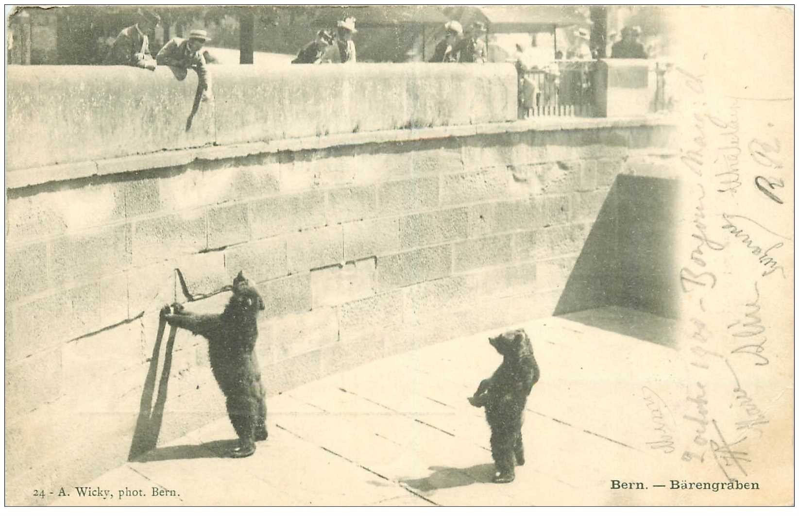 SUISSE. Bern. Bärengraben 1900 les Ours au Zoo