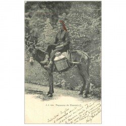 Suisse. CHAMPERY. Paysanne Laitière à dos d'Ane 1905