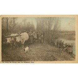 01 LES DOMBES. La Pêche des Etangs. Pêcheurs et attelage de Boeufs