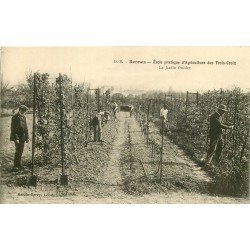 35 RENNES. Ecole pratique Agriculture des Troix-Croix. Le Jardin fruitier