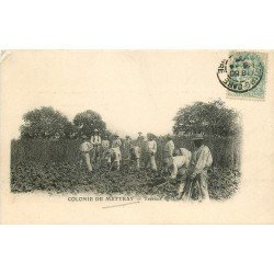 37 COLONIE DE METTRAY. Maison de redressement et Pénitencier. Travaux Agricoles 1905