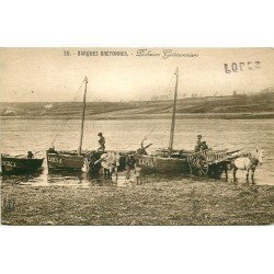 56 MORBIHAN. Pêcheurs Goémonniers avec Barques bretonnes