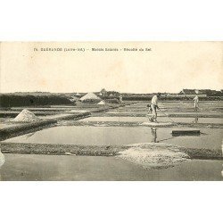 44 GUERANDE. La Récolte du sel par les Paludiers aux Marais Salants 1934