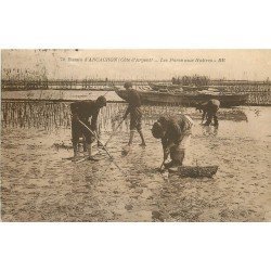 33 BASSIN ARCACHON. Les Parcs aux Huîtres. Ostréiculteurs et Crustacés 1924