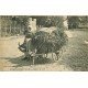 45 CHANGY-LES-BOIS. Paysanne et son attelage de Chien pour transport du Fourrage 1923