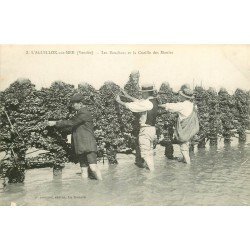 85 L'AIGUILLON-SUR-MER. Les Bouchots et la Cueille des Moules