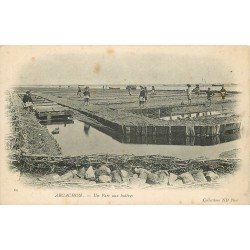 33 ARCACHON. Un Parc à Huîtres avec Parqueuses vers 1900