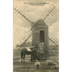 29 ILE OUESSANT. Un Moulin à Vent avec Bretonne et son cheval