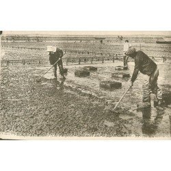 33 ARCACHON. Le Travail dans les Parcs à Huîtres