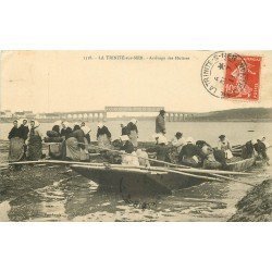 56 LA TRINITE-SUR-MER. Arrivage des Huîtres 1911. Pêcheurs et Parqueuses