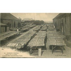 56 QUIBERON. Séchage de la Sardine destinée à être conservée dans l'huile 1915