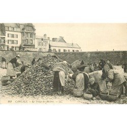 35 CANCALE. Le Triage des Huîtres. Métiers et Artisans de la Mer