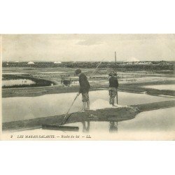 44 LES MARAIS SALANTS. La Récolte du Sel et les Etangs vers 1913