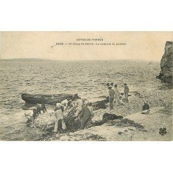 METIERS DE LA MER. Un coup de senne, la capture du poisson dans les filets des Pêcheurs 1908