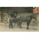 METIERS. Attelage livraison de lait Maison Poupard appelé aussi " Nourrisseurs " Photo carte postale vers 1908