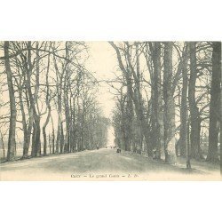 carte postale ancienne 14 CAEN. Le Grand Cours vers 1900