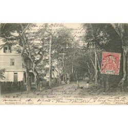 WW CAYENNE. L'Avenue d'Estrées 1906