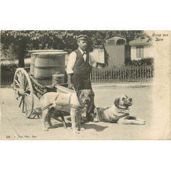 WW BERN BERNE. Attelage de chiens pour transport de lait 1919