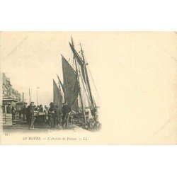 76 LE HAVRE. L'Arrivée du Poisson au Port