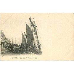 WW 76 LE HAVRE. L'Arrivée du Poisson au Port