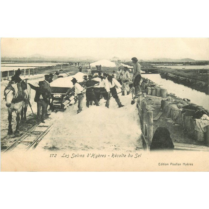CPA 83 Les Salins d'HYERES - Récolte du Sel - Une Echelle en Action