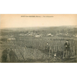WW 51 JOUY-LES-REIMS. Vue d'ensemble sur les Vignes avec cultivatrices
