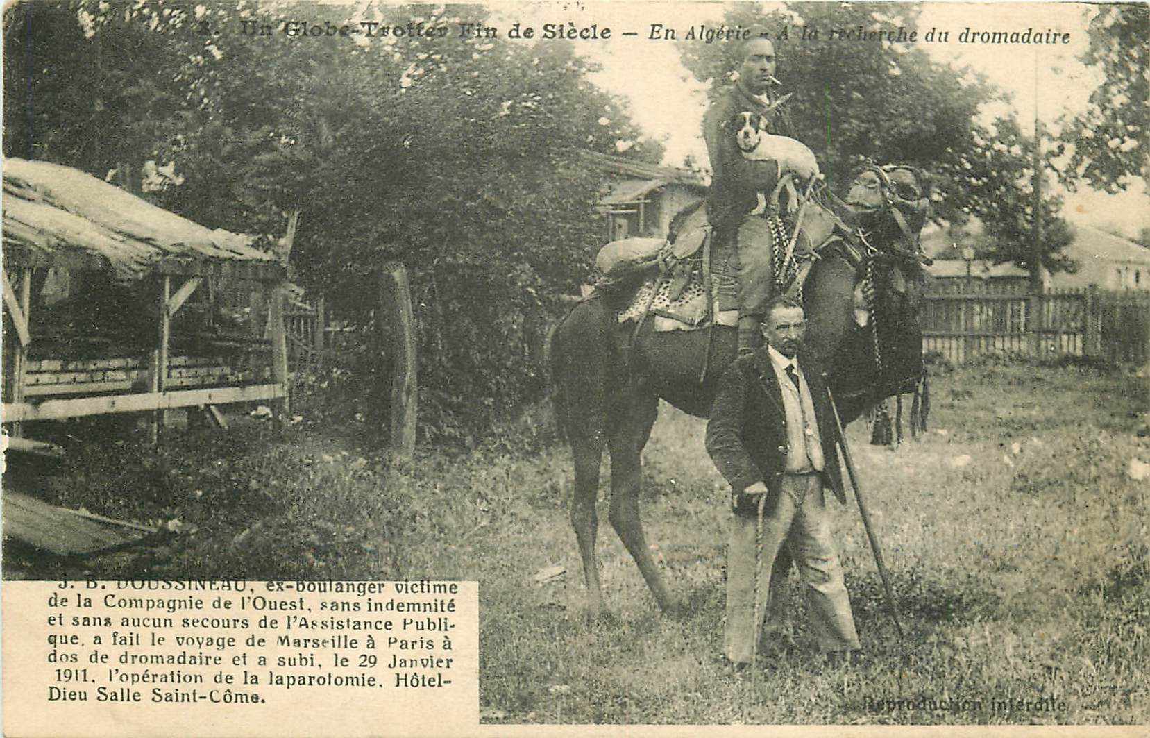 WW ALGERIE. Doussineau Globe-Trotter à la recherche d'un Dromadaire 1913
