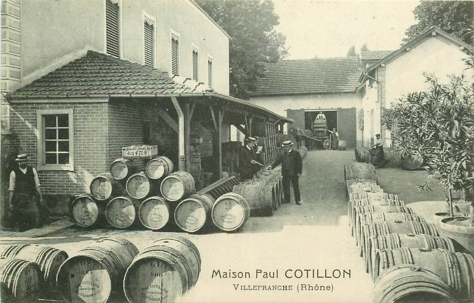 WW 69 VILLEFRANCHE SUR SAONE. Maison Paul Cotillon. Oenologues vins et tonneaux 1908