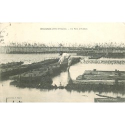 33 ARCACHON. Un Parc à Huîtres 1908