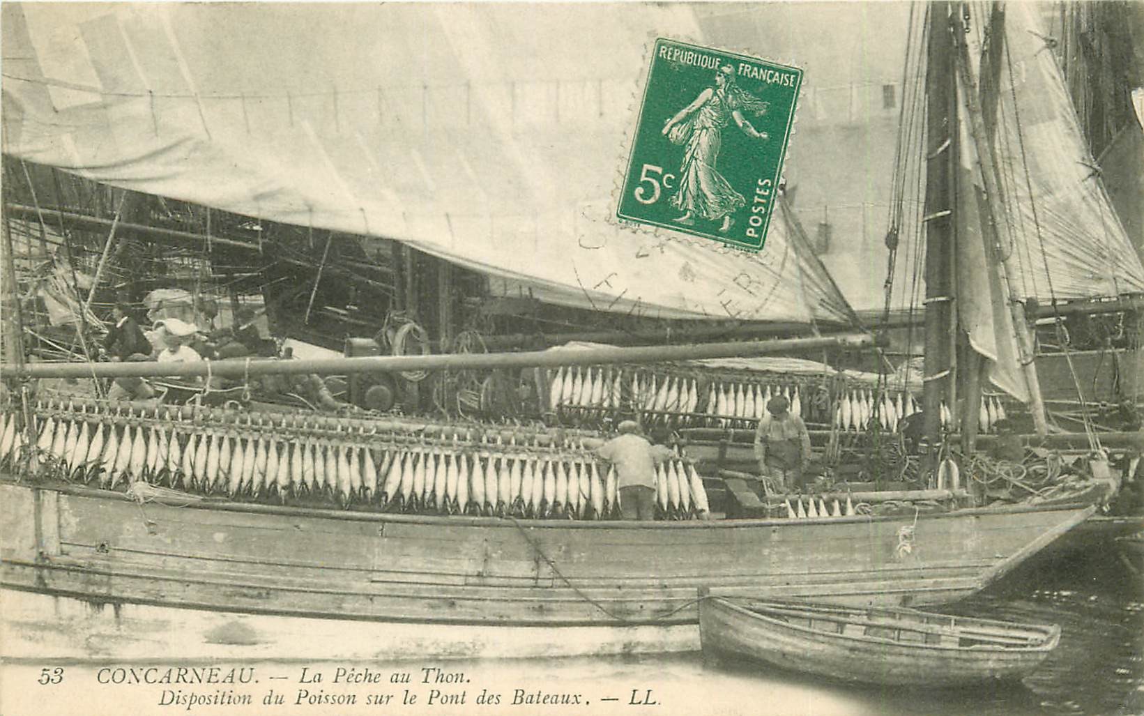 29 CONCARNEAU. La Pêche au Thon disposition du Poisson sur le Pont des Bateaux