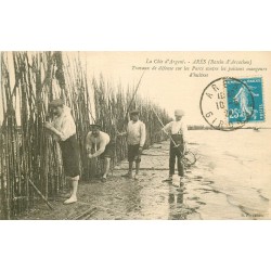 33 ARES. Travaux défense Parcs contre Poissons mangeurs d'Huîtres 1924