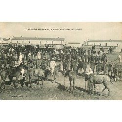 WW OUDJDA. Quartier des Spahis et Chevaux au Camp