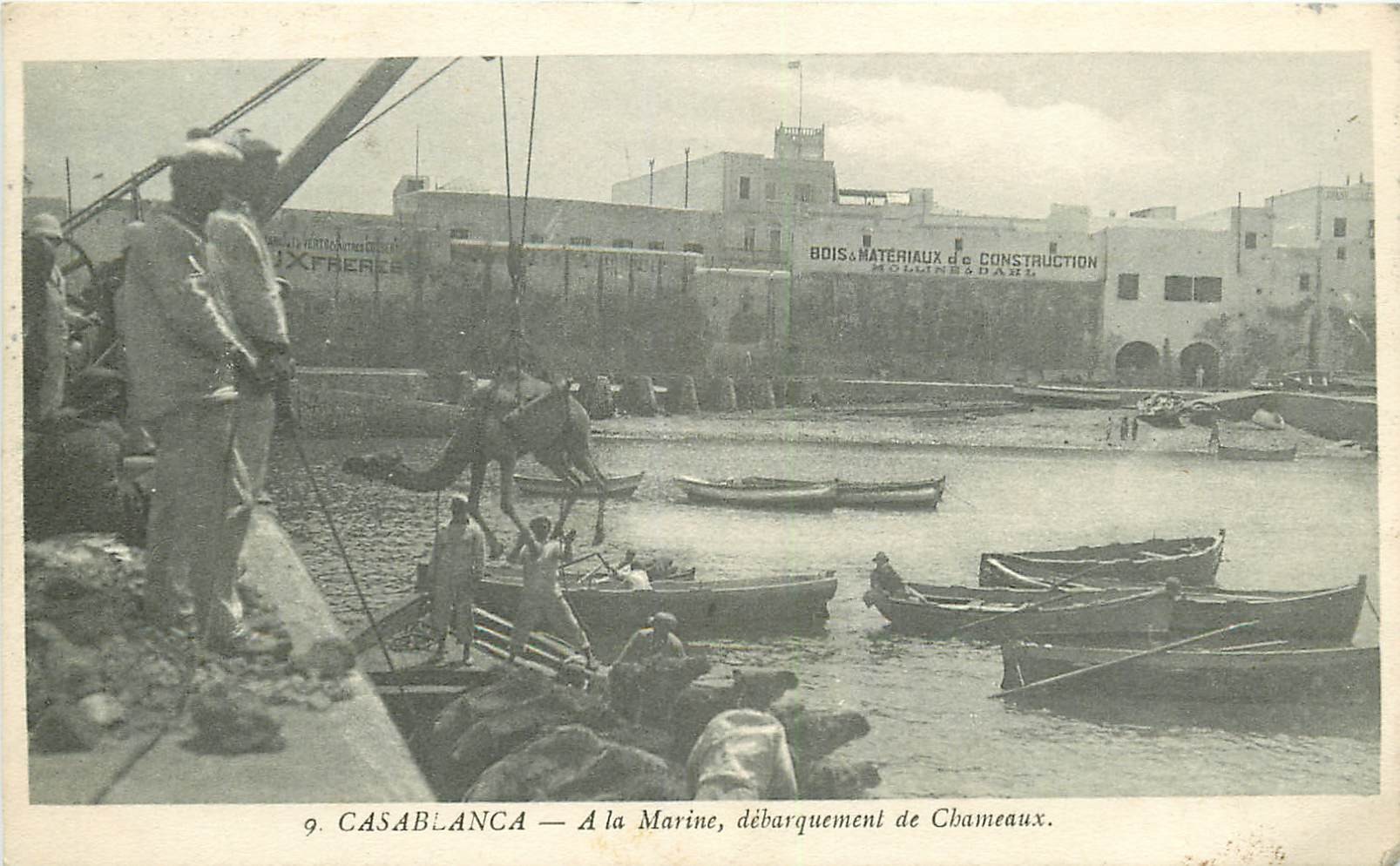 WW CASABLANCA. Débarquement de Chameaux à la Marine 1914