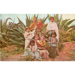 MEXIQUE MEXICO. Pulque Plants and Other Products near Apam