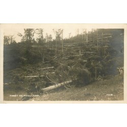 LA CHAUX DE FONDS. Forêt de Pouillerel. Photo carte postale 1936