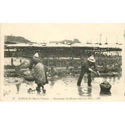 35 CANCALE. Ramassage des Huîtres dans un Parc 1926
