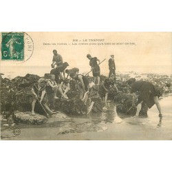 76 LE TREPORT. La Pêche aux Crabes dans les Rochers 1915