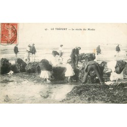 76 LE TREPORT. La récolte des Moules 1908