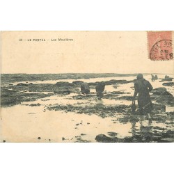 62 LE PORTEL. Les Moulières 1906