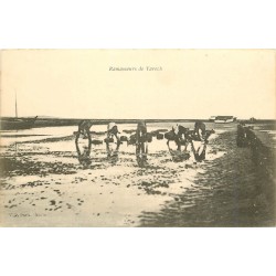 Scènes de Plage. Ramasseurs de Varech