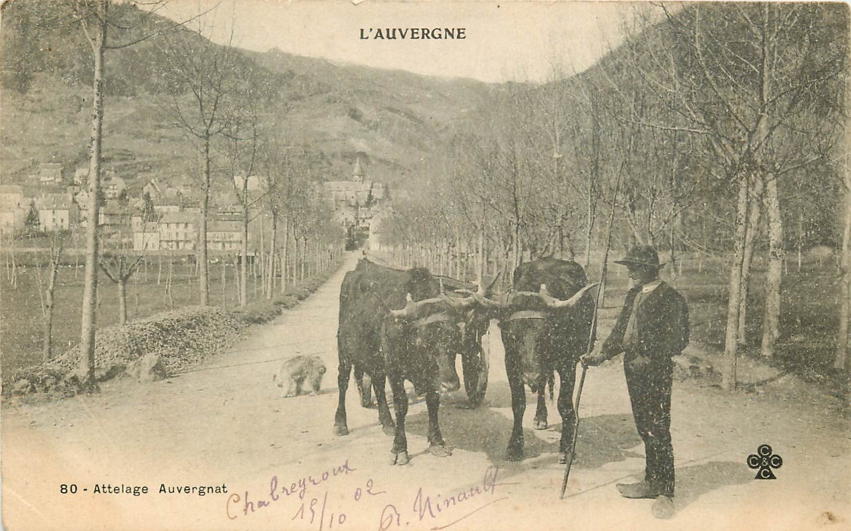 63 AUVERGNE. Attelage Auvergnat 1902
