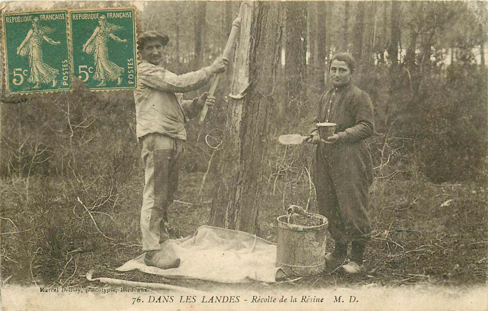 40 DANS LES LANDES. Récolte de la Résine