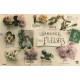 FANTAISIE. Le Langage des Fleurs 1912