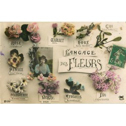 FANTAISIE. Le Langage des Fleurs 1912