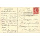 CHAMPIGNONS. Le Tricholome équestre ou Canari 1908. Peint à la main par Rimaud