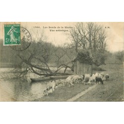 2 Cpa 94 BRY-SUR-MARNE. Troupeau de Moutons et Source d'Argent au Petit Bry 1909