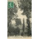 93 NOISY-LE-GRAND. Allée Caroline au Parc de Villeflix 1910